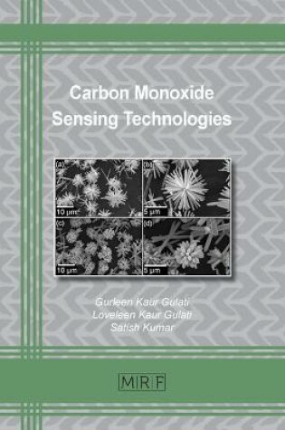 Cover of Carbon Monoxide Sensing Technologies