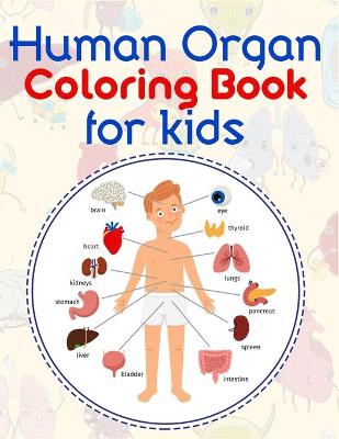 Book cover for Human Organ Coloring Book For Kids