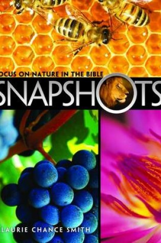 Cover of Snapshots