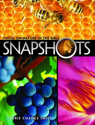 Book cover for Snapshots