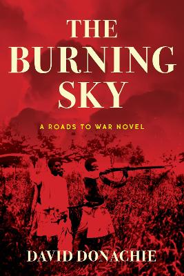 Book cover for The Burning Sky
