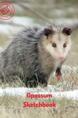 Cover of Opossum Sketchbook