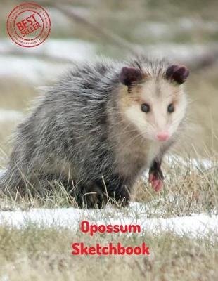 Book cover for Opossum Sketchbook