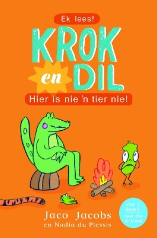 Cover of Krok en Dil Vlak 2 Boek 3