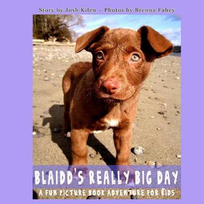 Book cover for Blaidd's Really Big Day