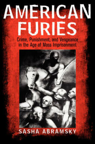 Cover of American Furies Large Print Edition