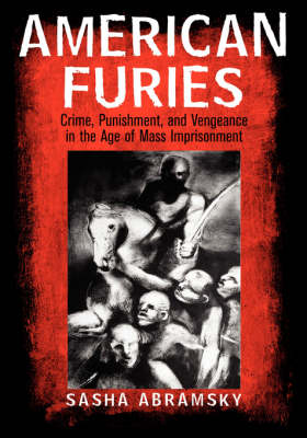 Book cover for American Furies Large Print Edition