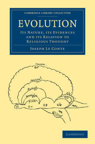 Cover of Evolution