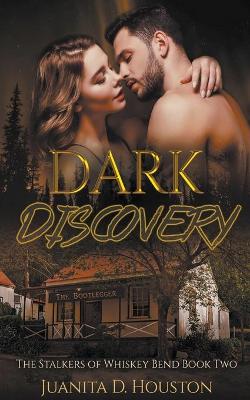 Cover of Dark Discovery