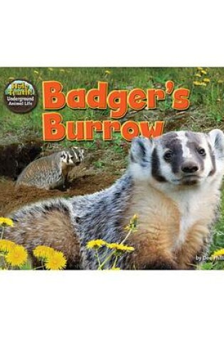Cover of Badger's Burrow