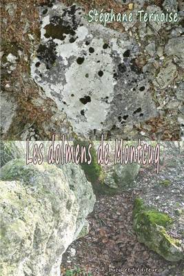 Book cover for Les dolmens de Montcuq