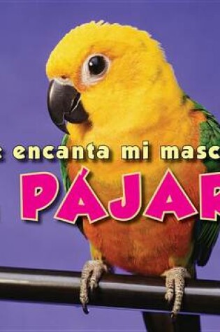 Cover of El Pajaro