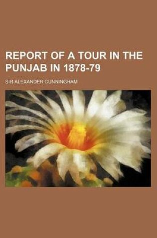 Cover of Report of a Tour in the Punjab in 1878-79