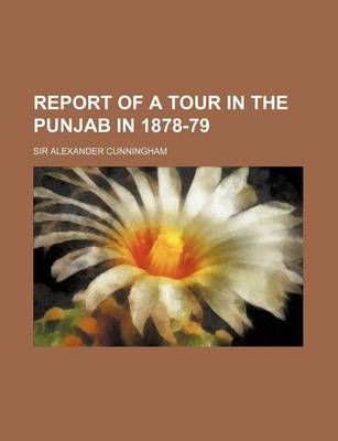 Book cover for Report of a Tour in the Punjab in 1878-79