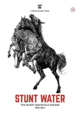 Book cover for Stunt Water eBook