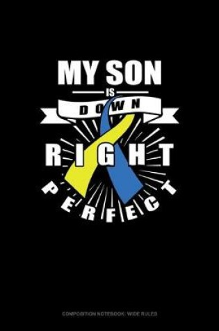 Cover of My Son Is Down Right Perfect