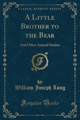 Book cover for A Little Brother to the Bear