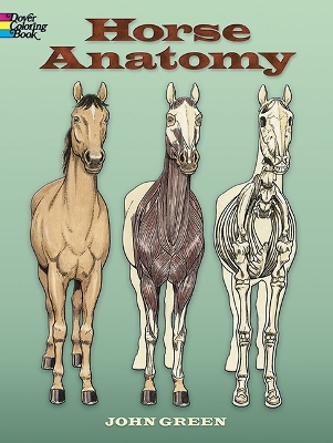 Cover of Horse Anatomy Coloring Book