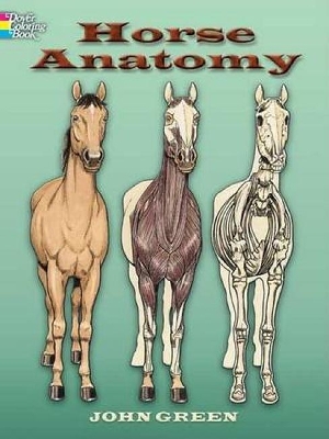 Book cover for Horse Anatomy Coloring Book