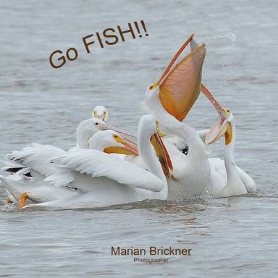 Book cover for Go Fish!!