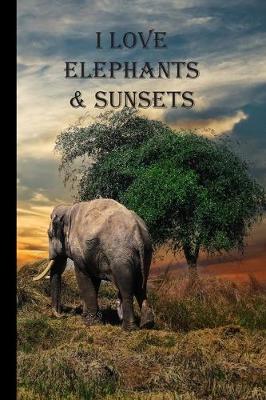 Book cover for I Love Elephants & Sunsets