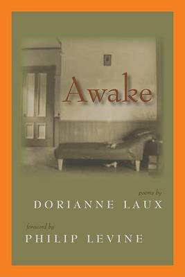 Book cover for Awake