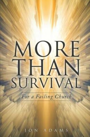 Cover of More Than Survival