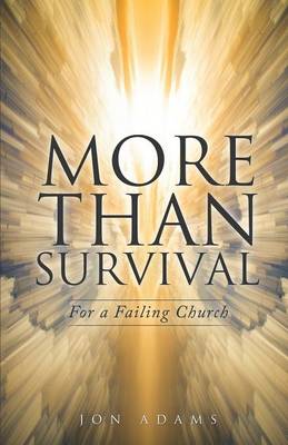 Book cover for More Than Survival