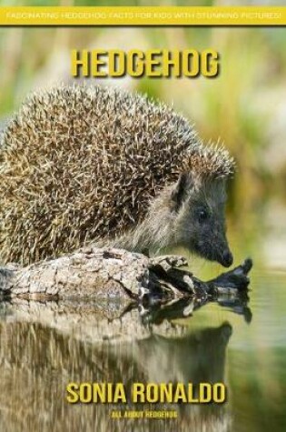 Cover of All About Hedgehog