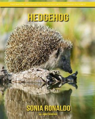 Book cover for All About Hedgehog