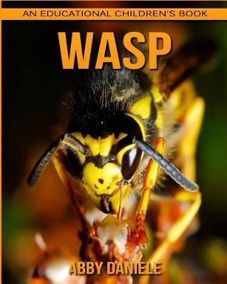 Book cover for Wasp! An Educational Children's Book about Wasp with Fun Facts & Photos