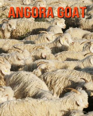 Book cover for Angora Goat