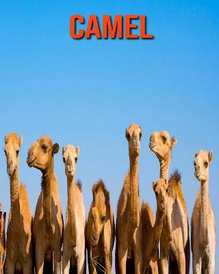 Book cover for Camel