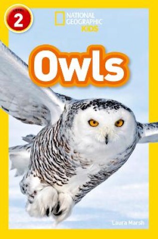 Cover of Owls