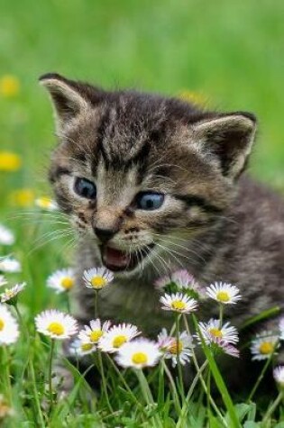 Cover of Blue Eyed Tabby Kitten Attacks Daisies