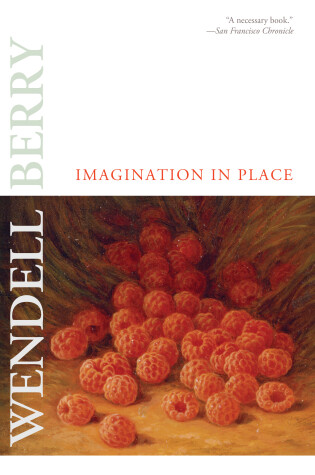 Cover of Imagination In Place