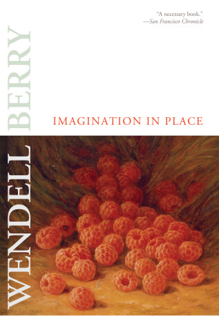 Book cover for Imagination In Place