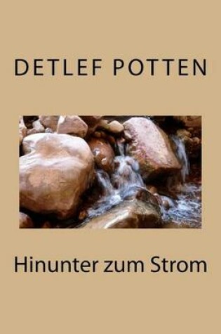 Cover of Hinunter zum Strom