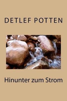 Book cover for Hinunter zum Strom