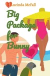 Book cover for Big Package for Bunny