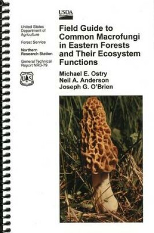 Cover of Field Guide to Common Macrofungi in Eastern Forests and Their Ecosystem Functions