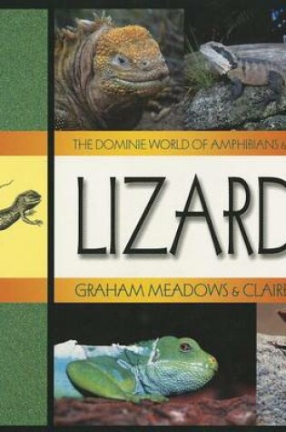 Cover of Lizards
