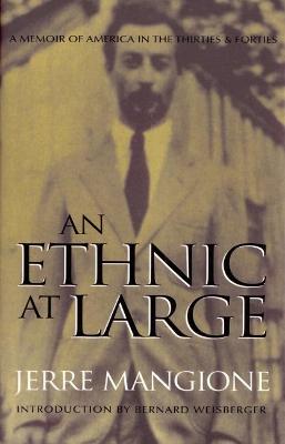 Book cover for An Ethnic At Large