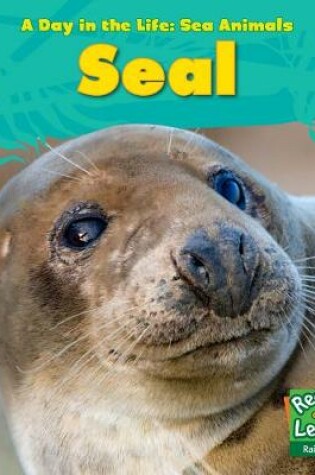 Cover of Seal