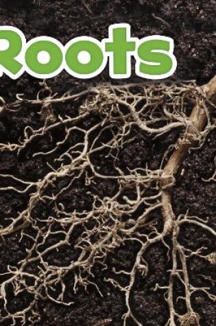 Cover of Roots