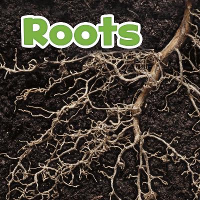 Cover of Roots