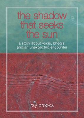 Book cover for The Shadow That Seeks the Sun