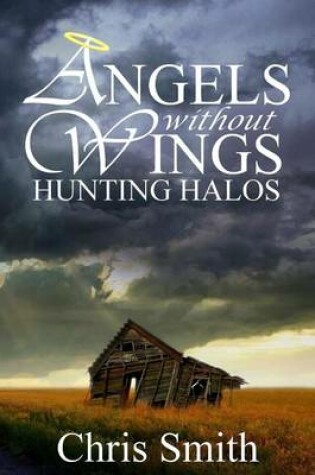 Cover of Hunting Halos