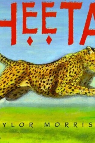 Cover of Cheetah