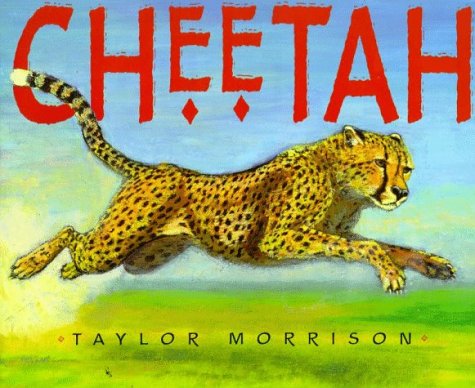 Book cover for Cheetah